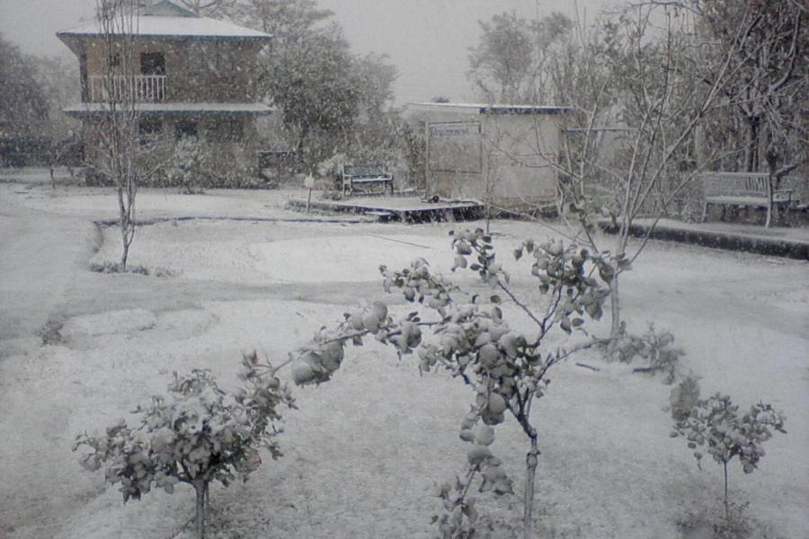 Nagri Resort Pālampur Exterior foto
